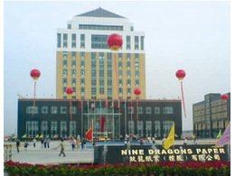 東莞玖龍紙業